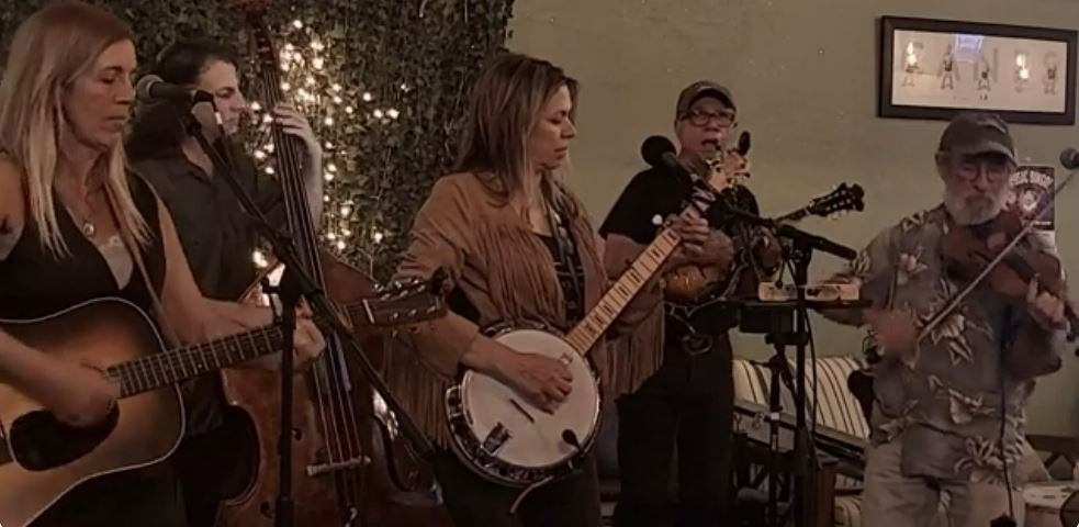 Gypsy Strings Revival